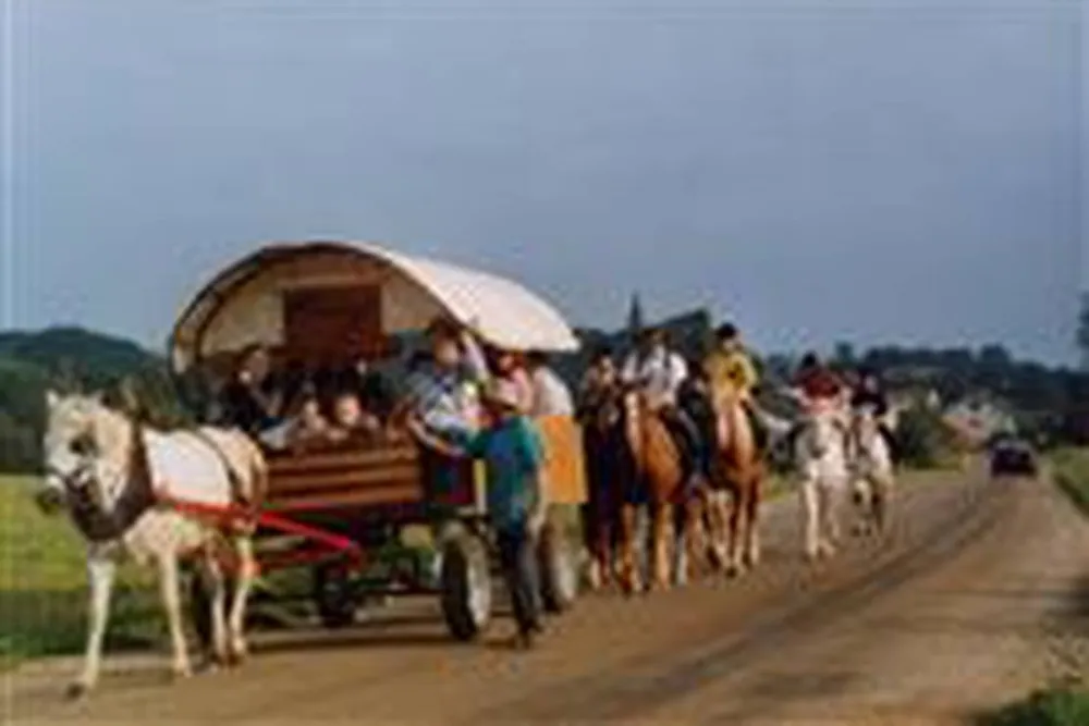 Auberge Du Petit Cheval Blanc