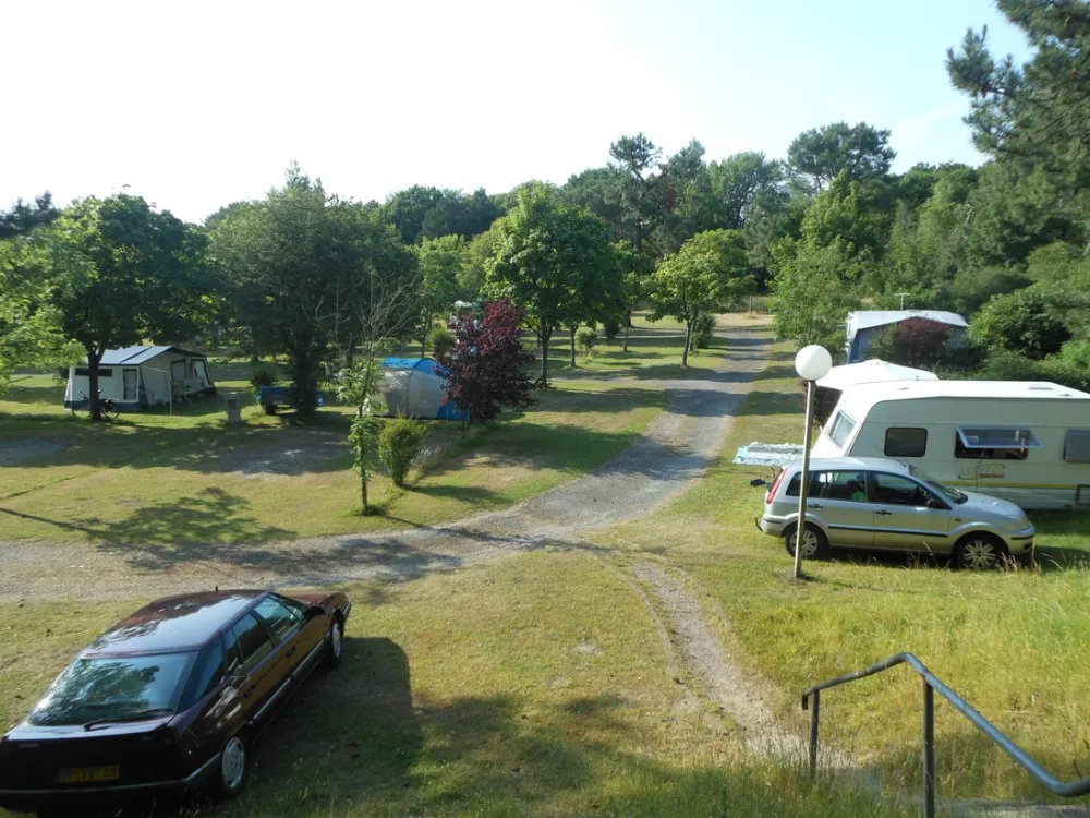 Camping Municipal De La Pinede
