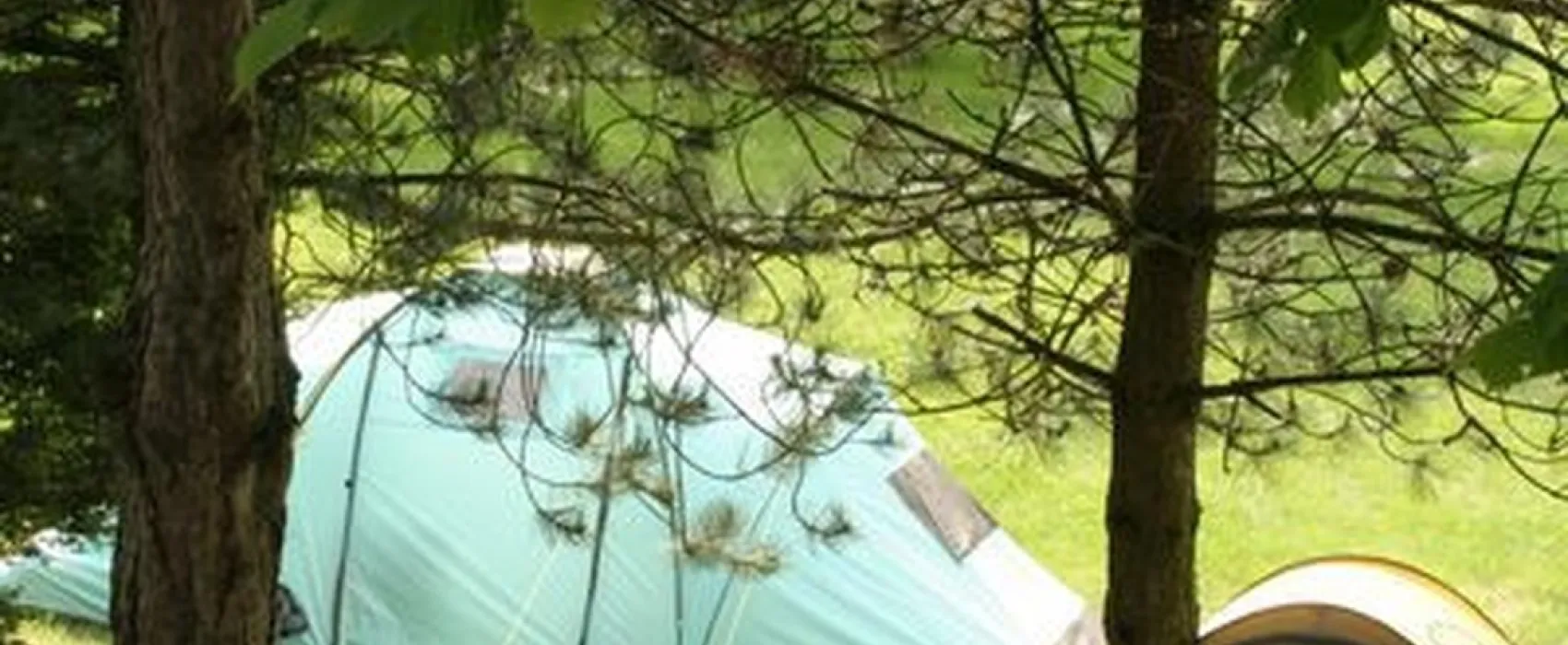 Camping Municipal De La Pinede