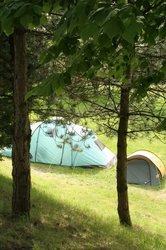 Camping Municipal De La Pinede