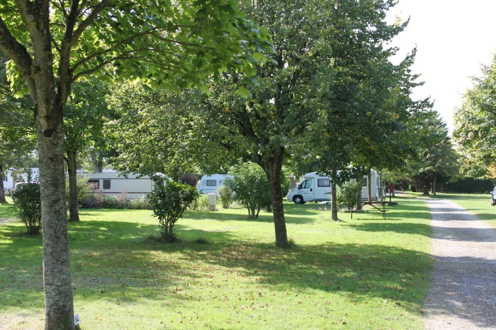 Camping Municipal De La Pinede