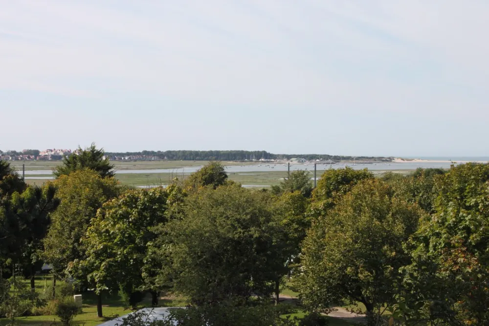 Camping Municipal De La Pinede