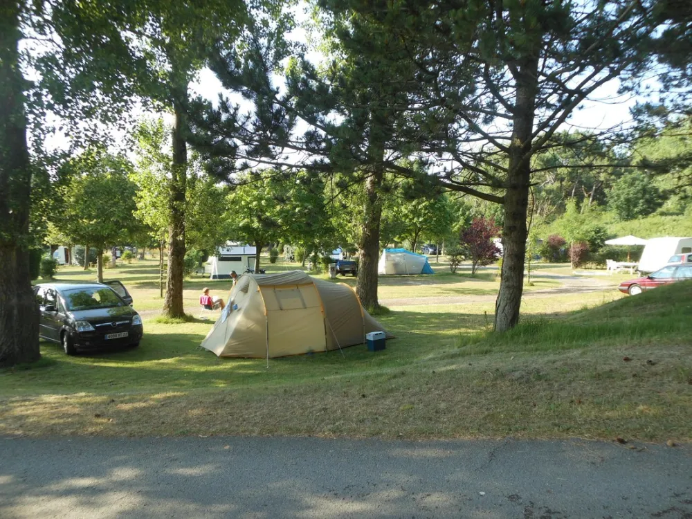 Camping Municipal De La Pinede