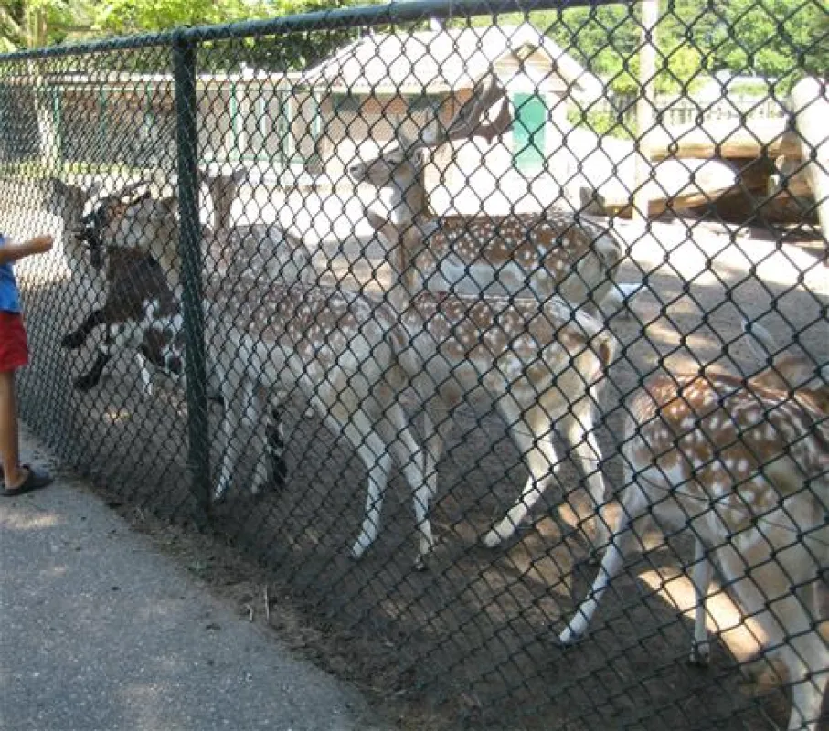 Camping De Krabbeplaat