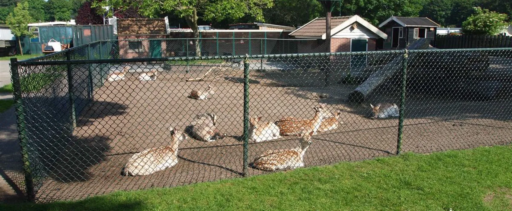 Camping De Krabbeplaat