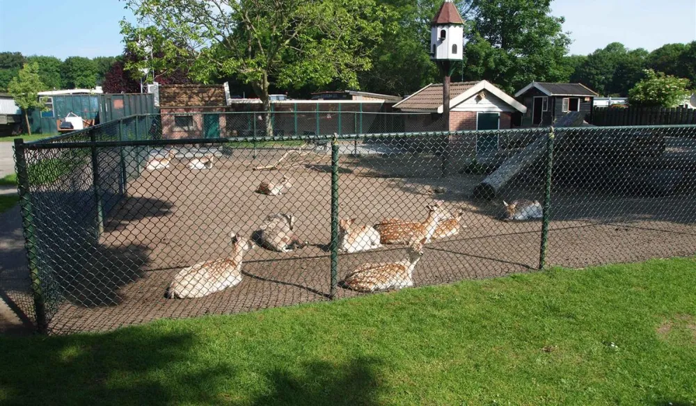 Camping De Krabbeplaat