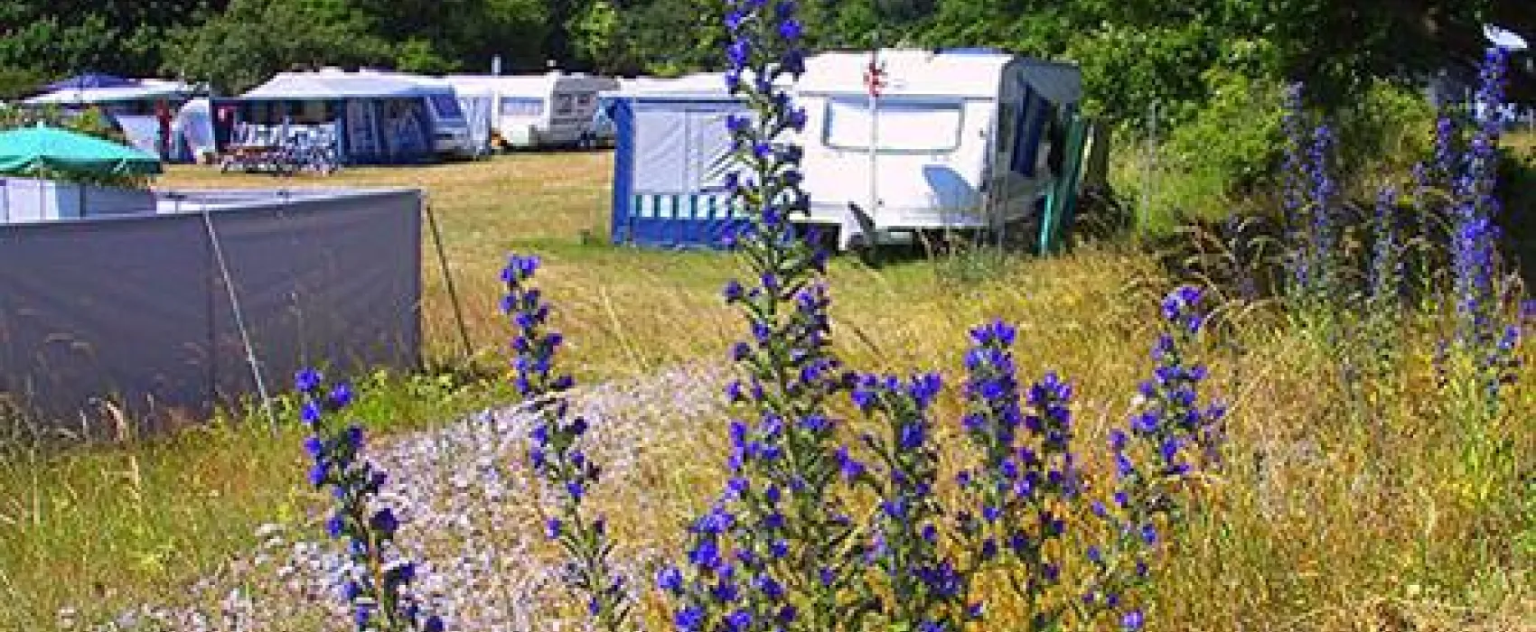 Møn Strandcamping - Ulvshale