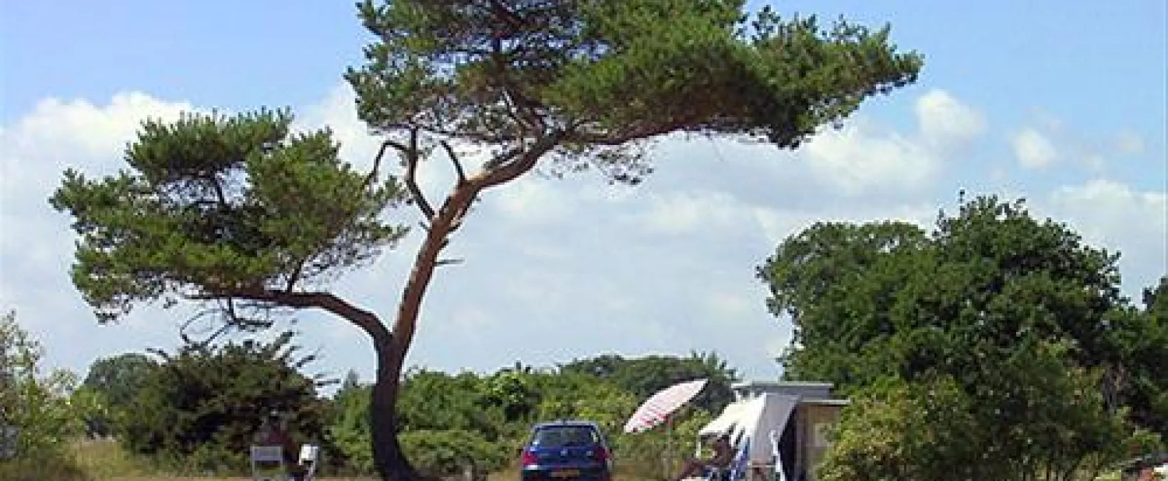 Møn Strandcamping - Ulvshale