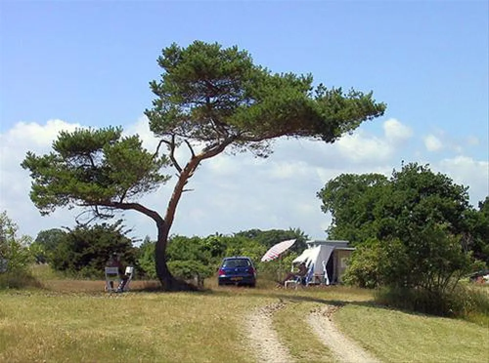 Møn Strandcamping - Ulvshale