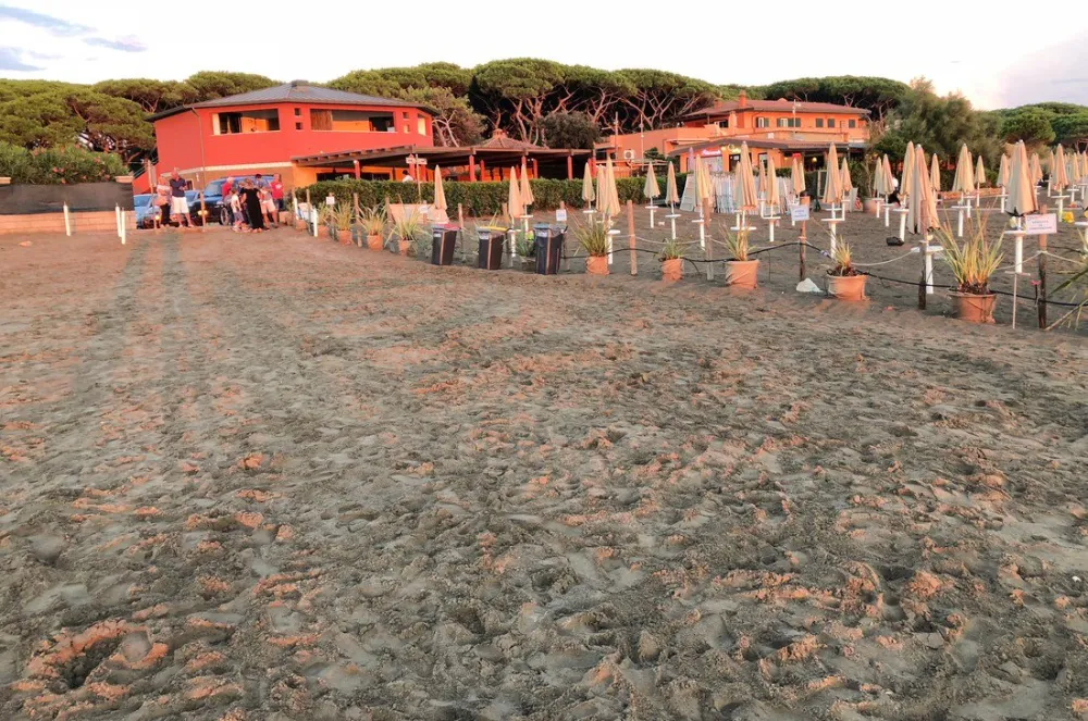 Campeggio Int. Argentario