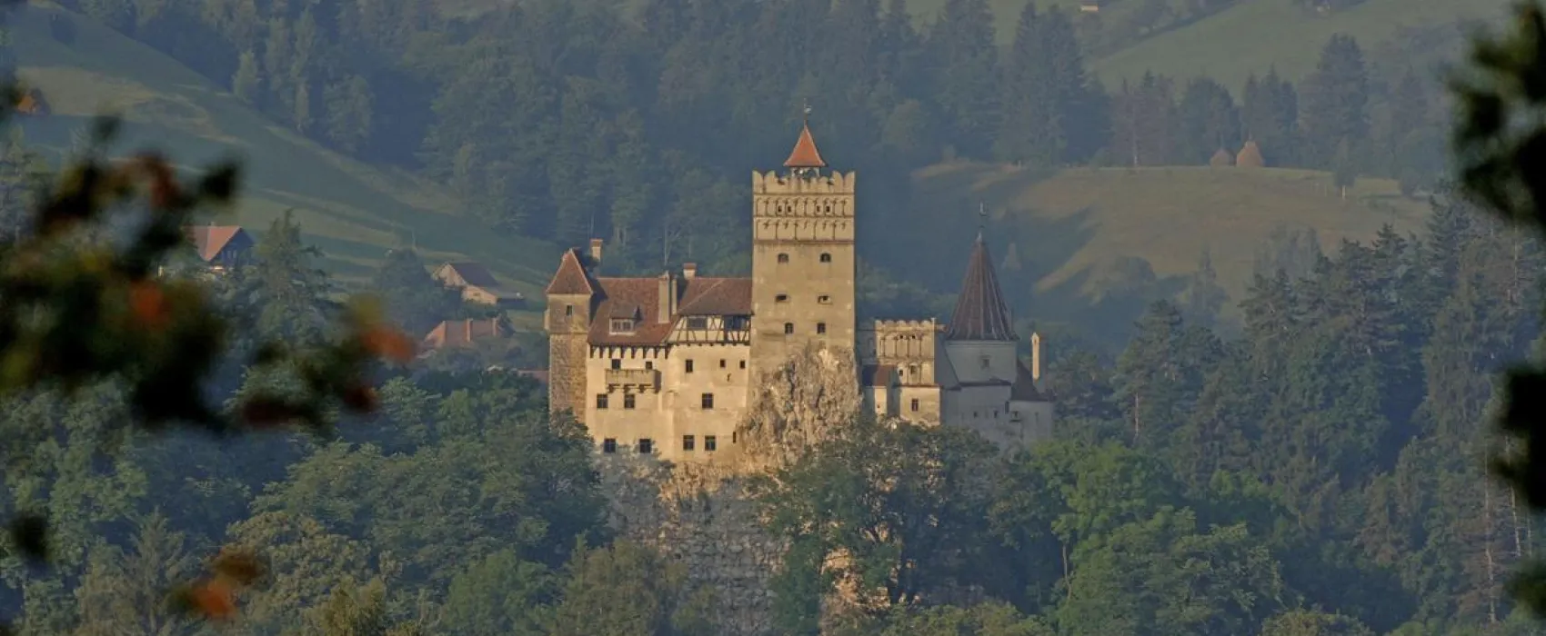 Vampire Camping Bran