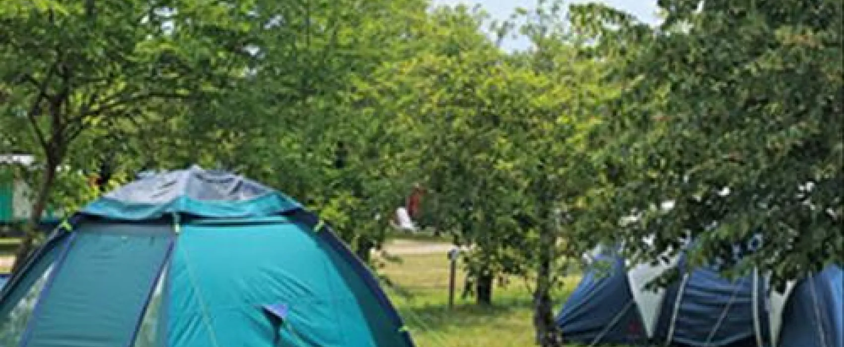 Camping Caravaning Domaine De La Grenouillere