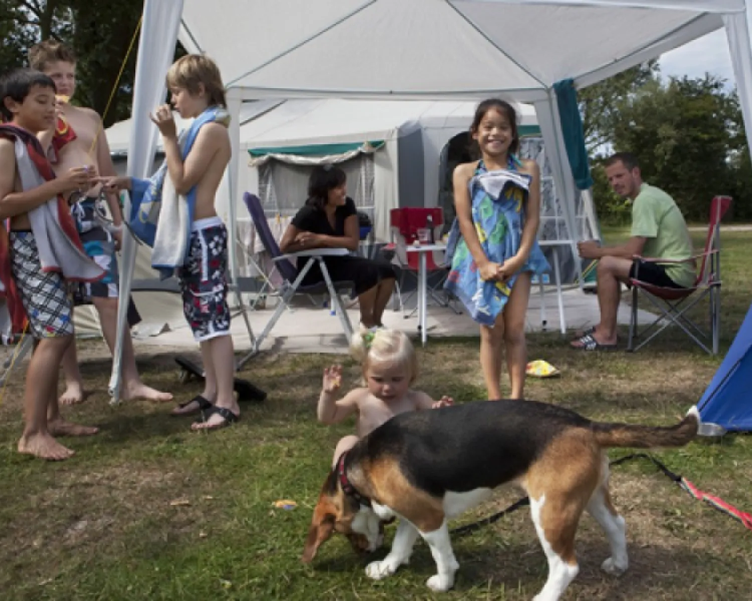 Camping De Krim in the Netherlands - Spottocamp - Spottocamp
