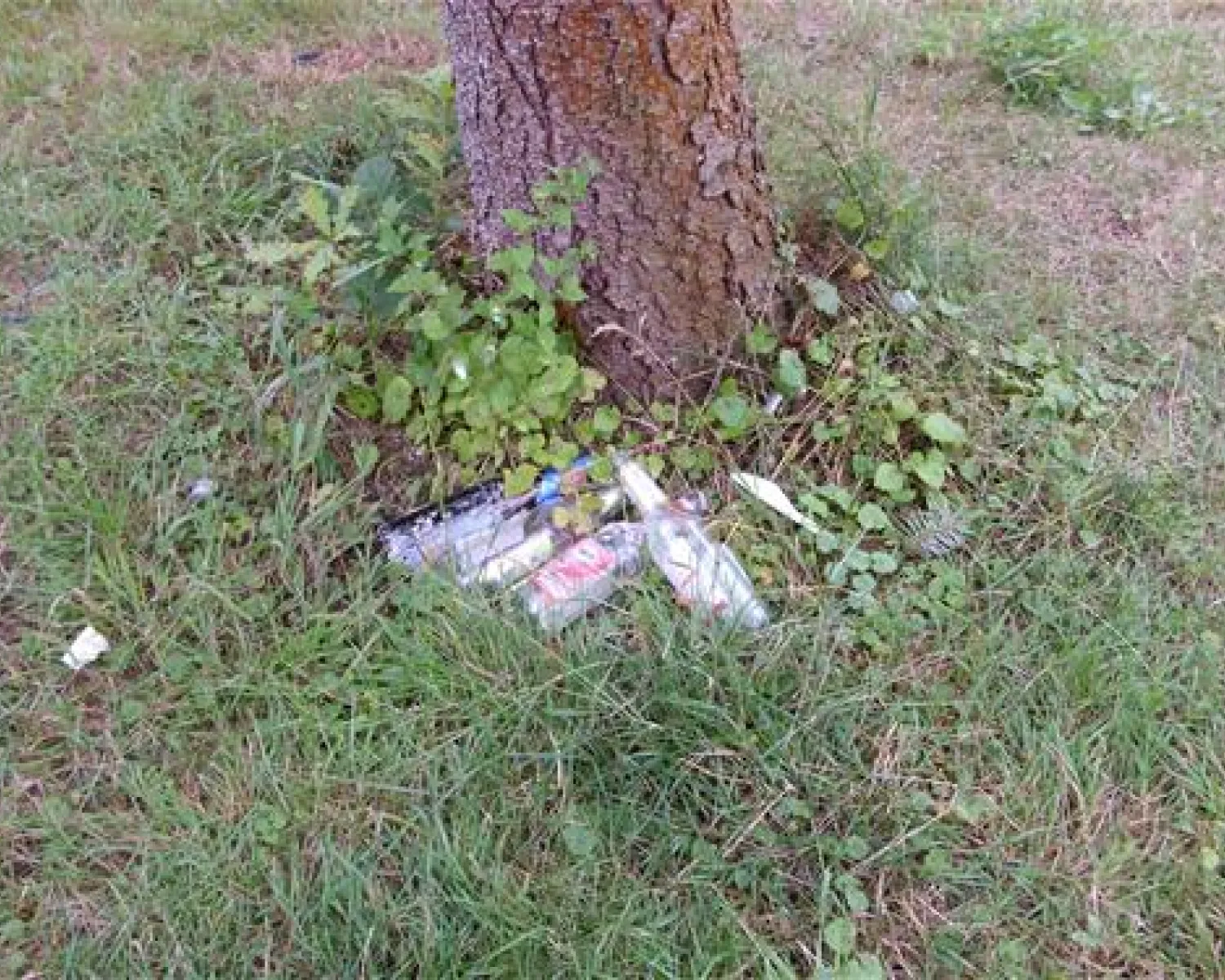 markise aufdachmontage Aufdachmarkise nach Ma