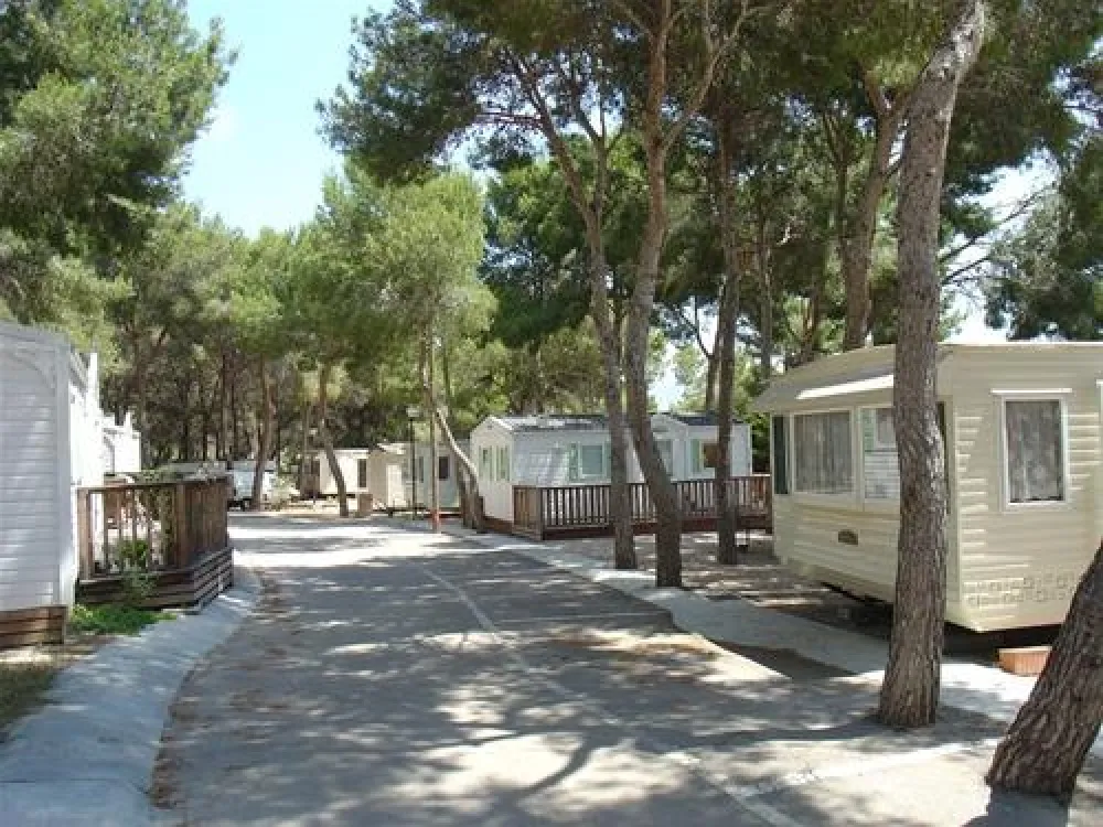 Camping Moraira