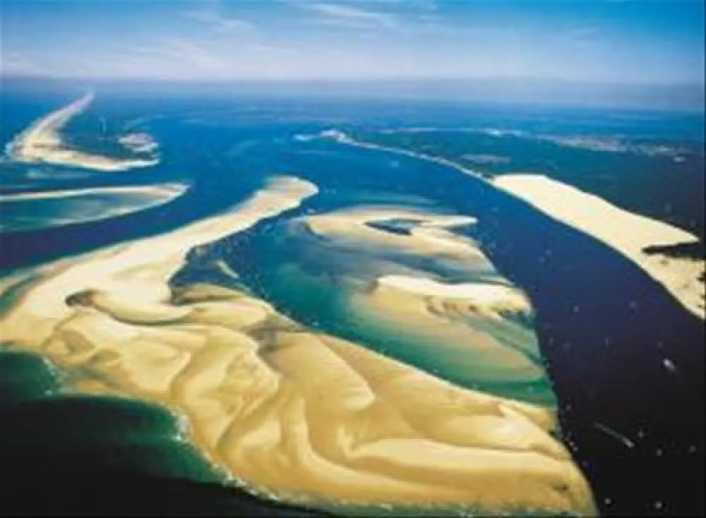 Flower Camping - La Canadienne  