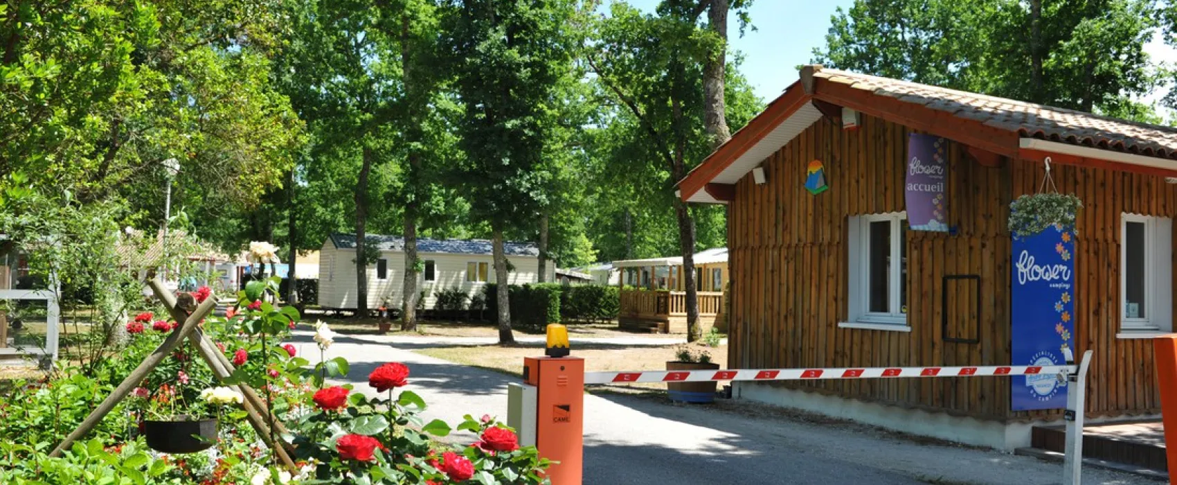 Flower Camping - La Canadienne  