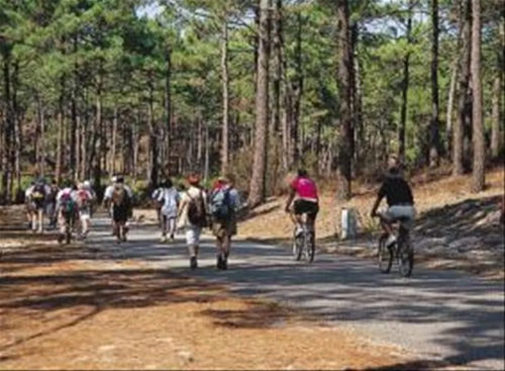 Flower Camping - La Canadienne  