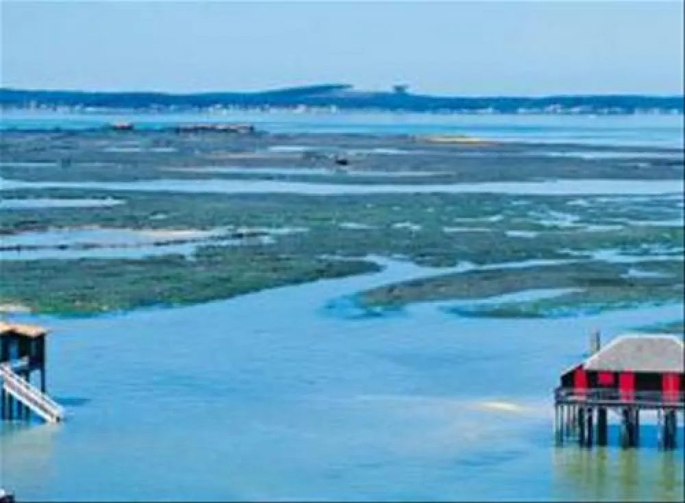 Flower Camping - La Canadienne  