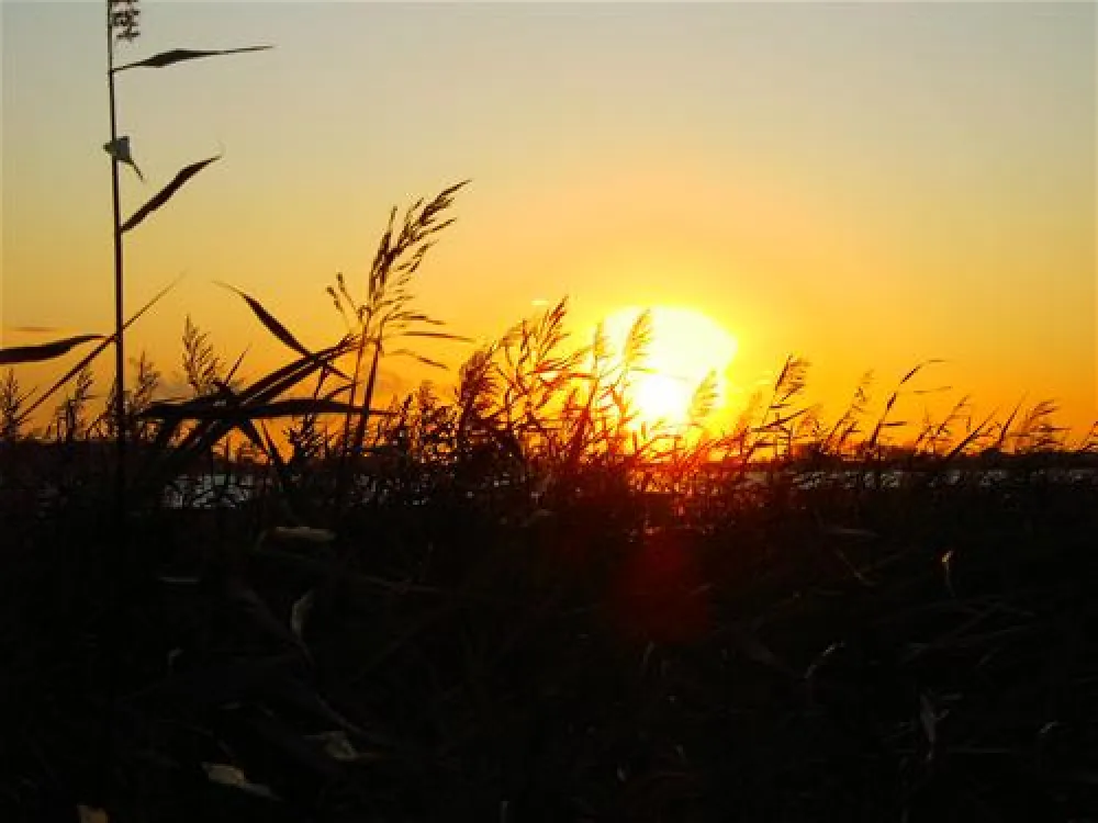 Camping RCN de Schotsman