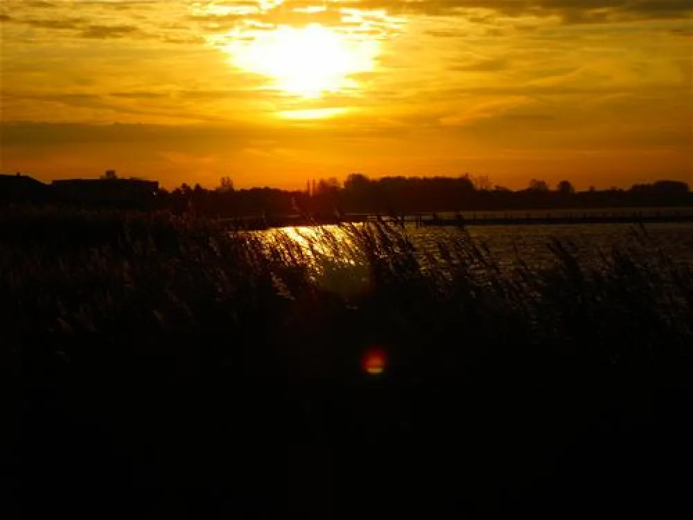 Camping RCN de Schotsman