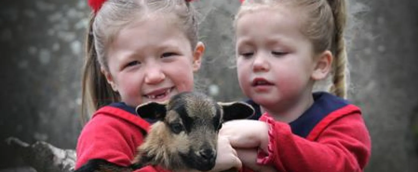 Freizeitpark Klaukenhof