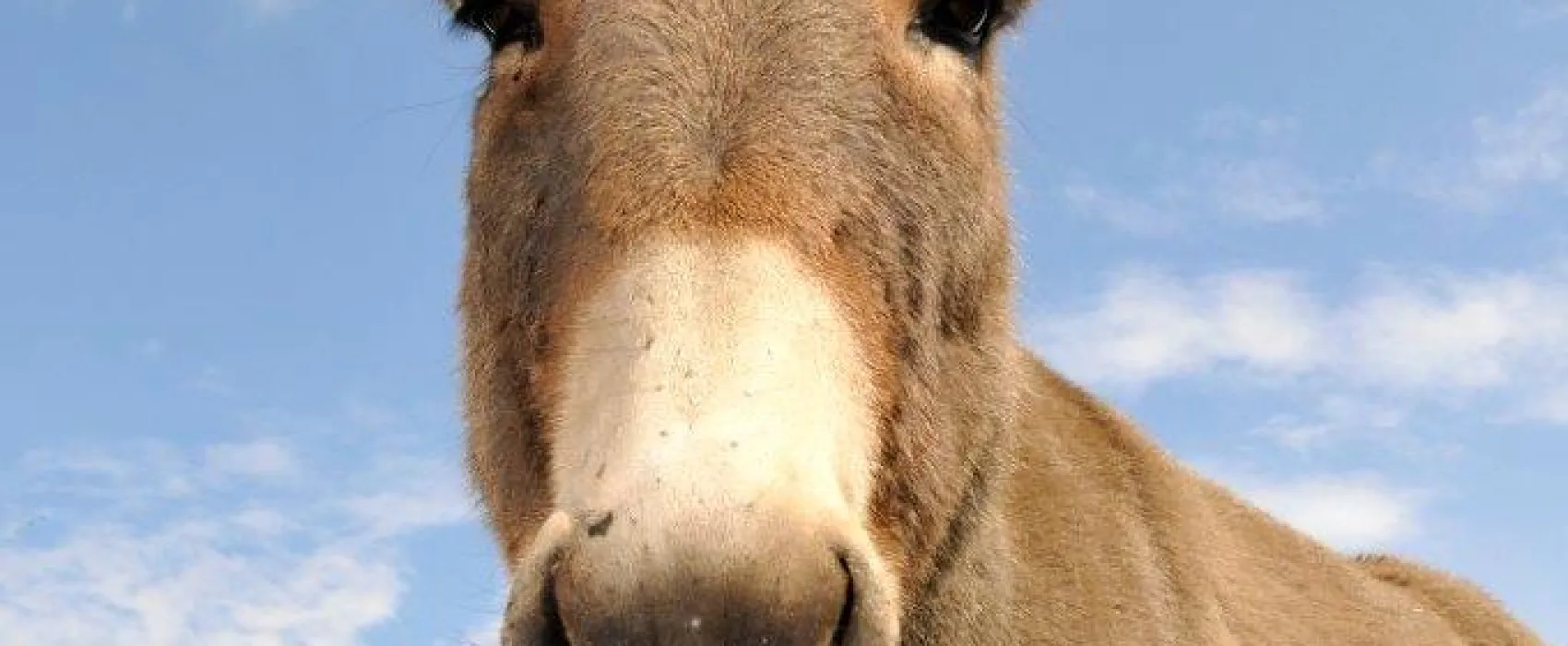 Freizeitpark Klaukenhof