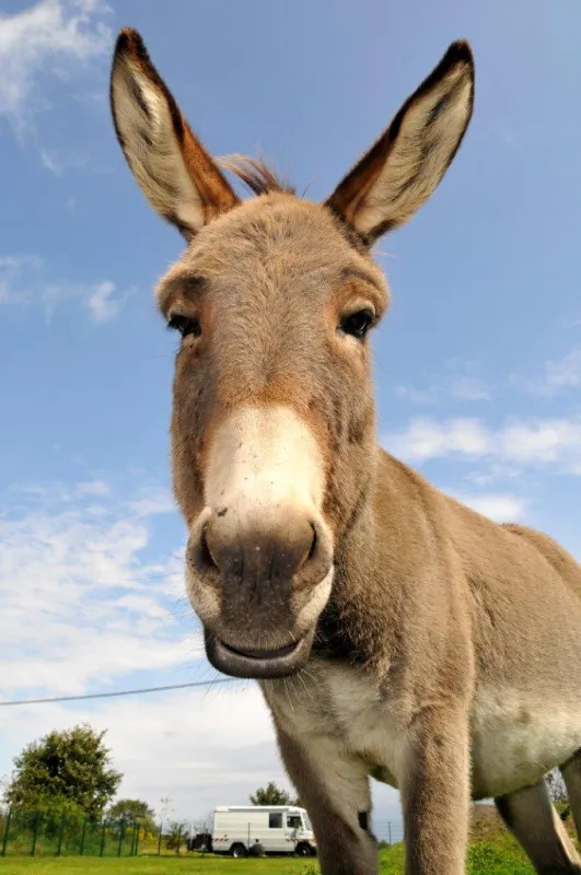 Freizeitpark Klaukenhof