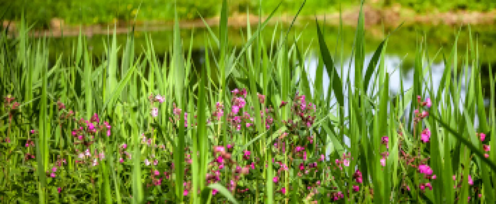 Freizeitpark Klaukenhof