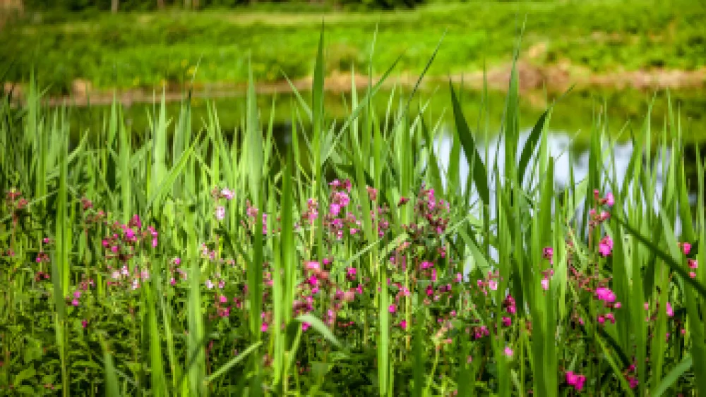 Freizeitpark Klaukenhof