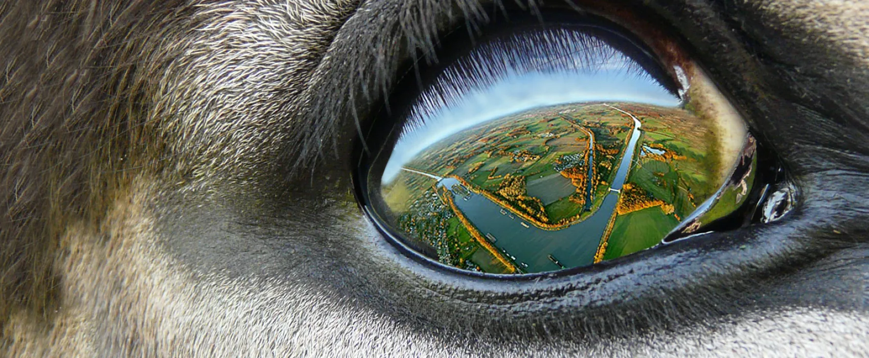 Freizeitpark Klaukenhof