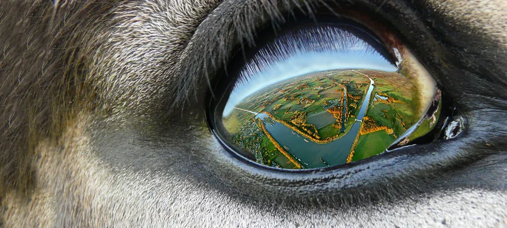 Freizeitpark Klaukenhof