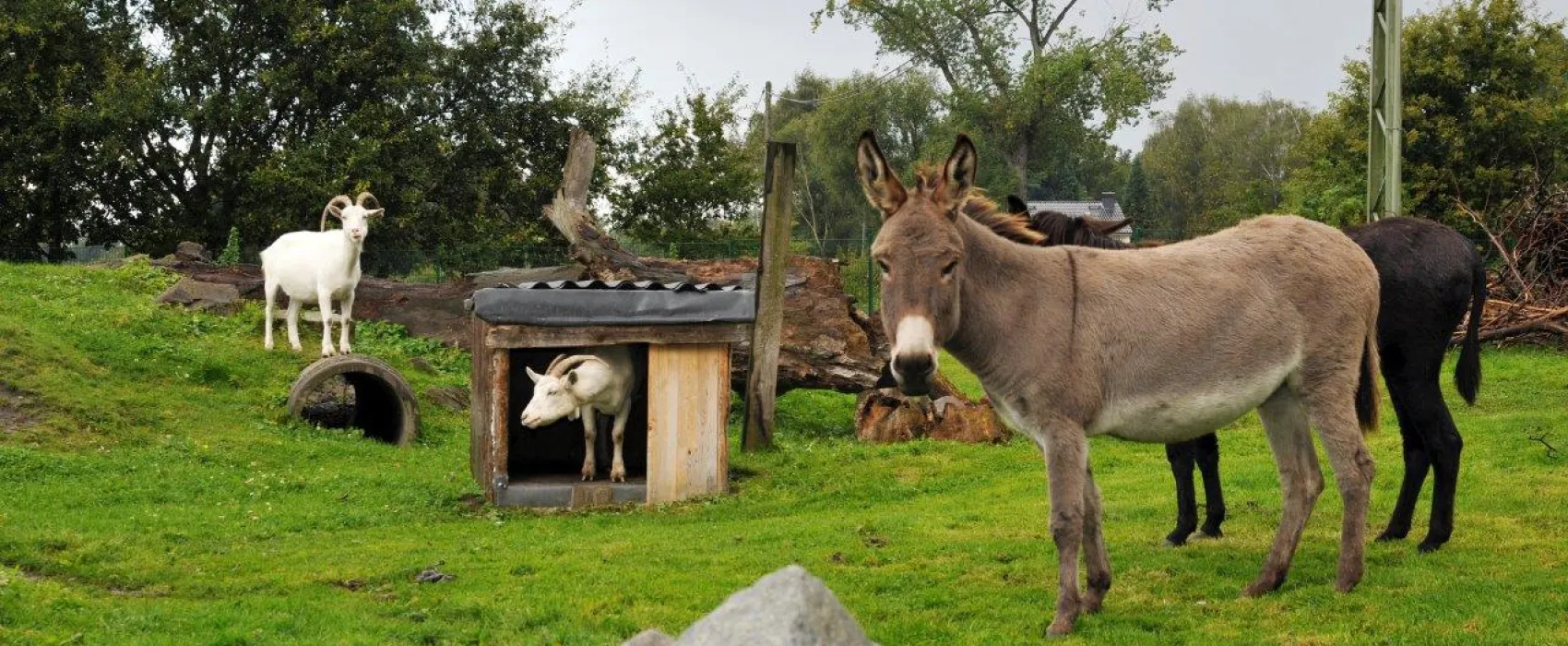 Freizeitpark Klaukenhof