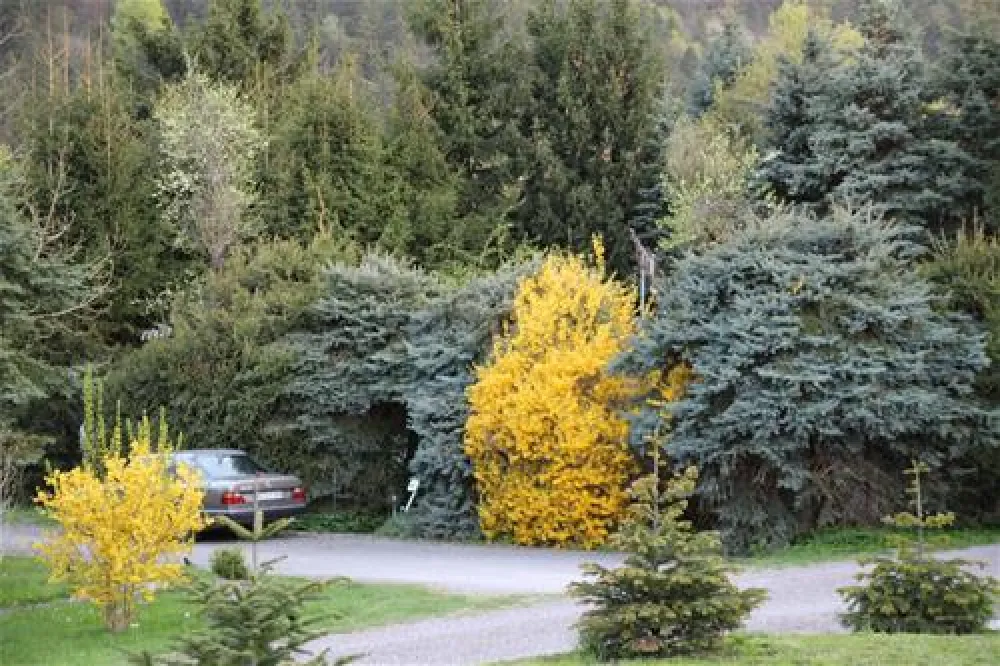 Camping Himmelspforte