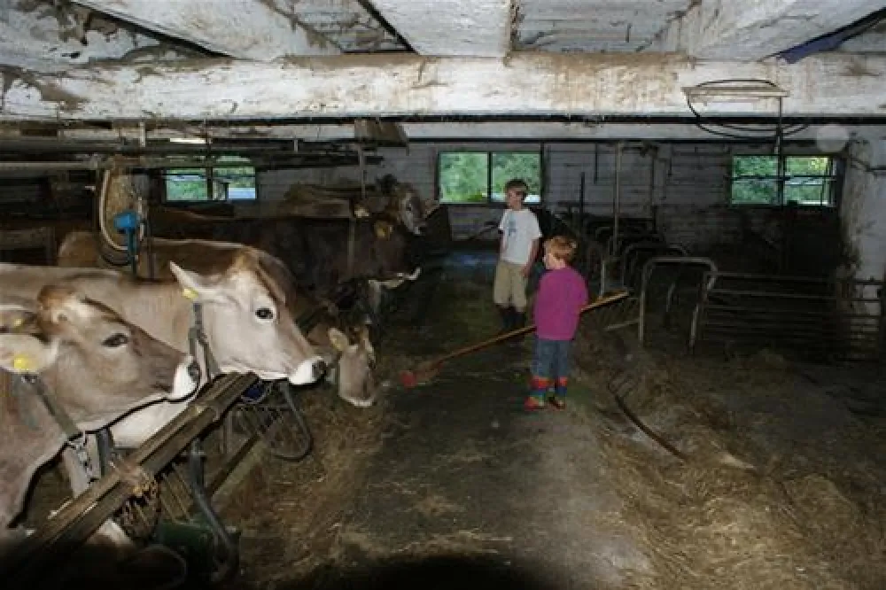 Camping am See Gut Lindlerhof
