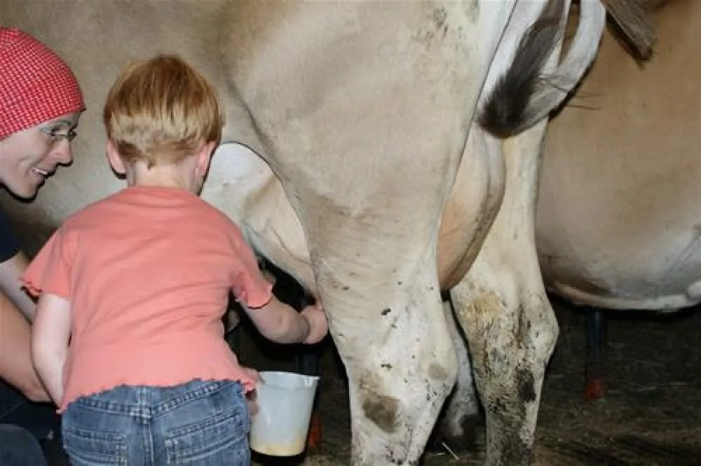 Camping am See Gut Lindlerhof