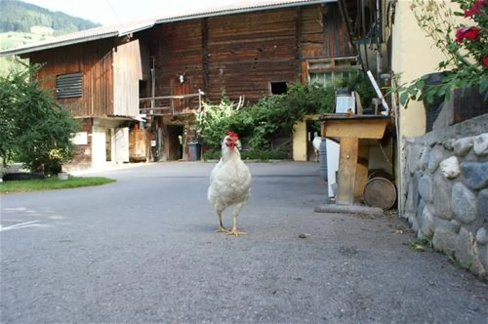 Camping am See Gut Lindlerhof