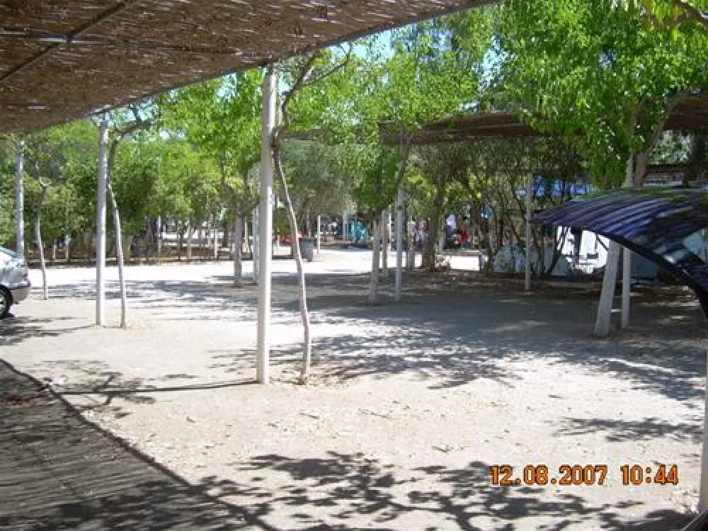 Campsite Blue Dolphin