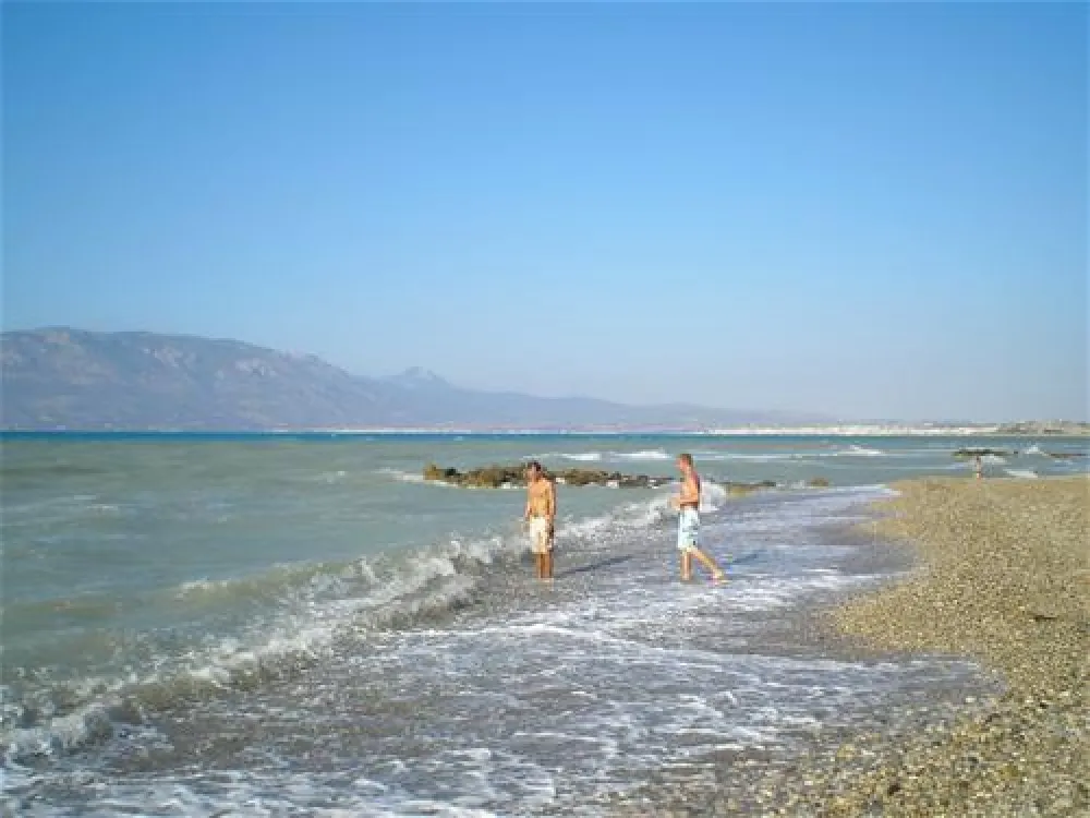 Campsite Blue Dolphin