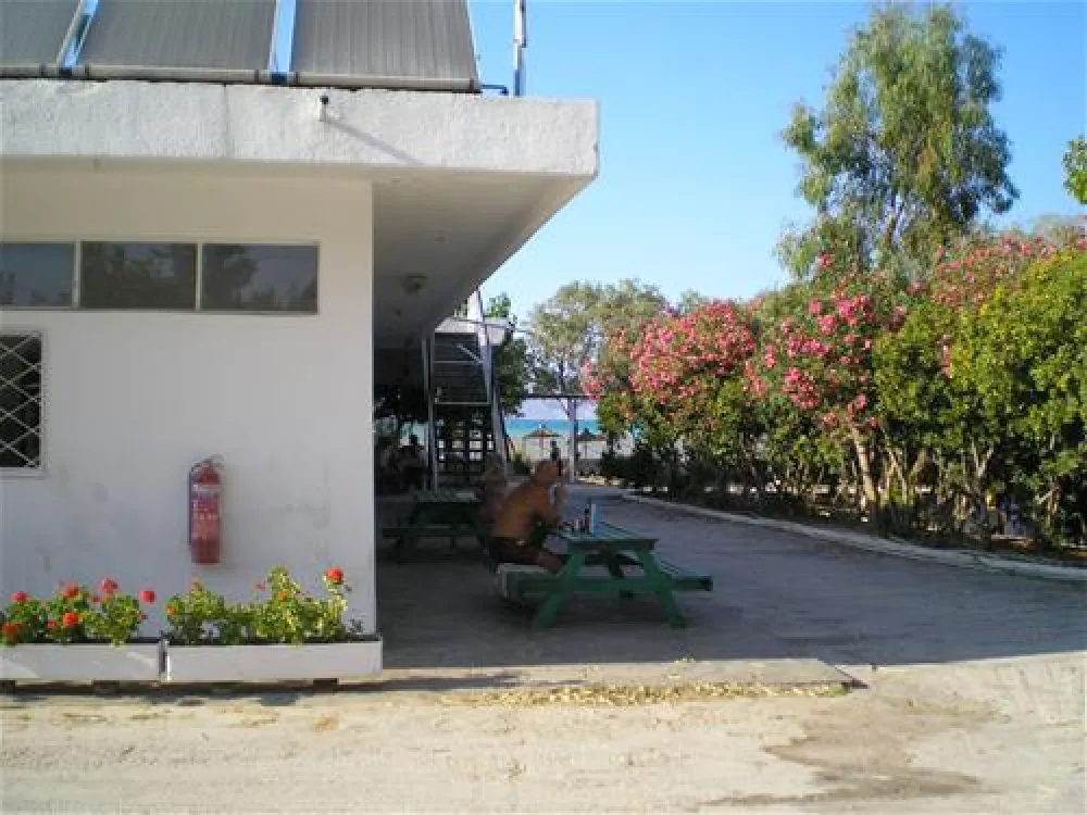 Campsite Blue Dolphin