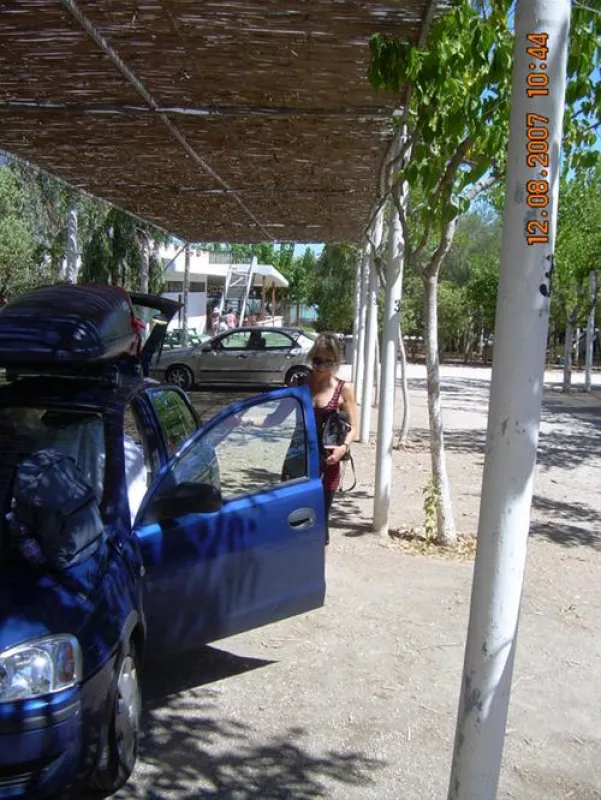 Campsite Blue Dolphin