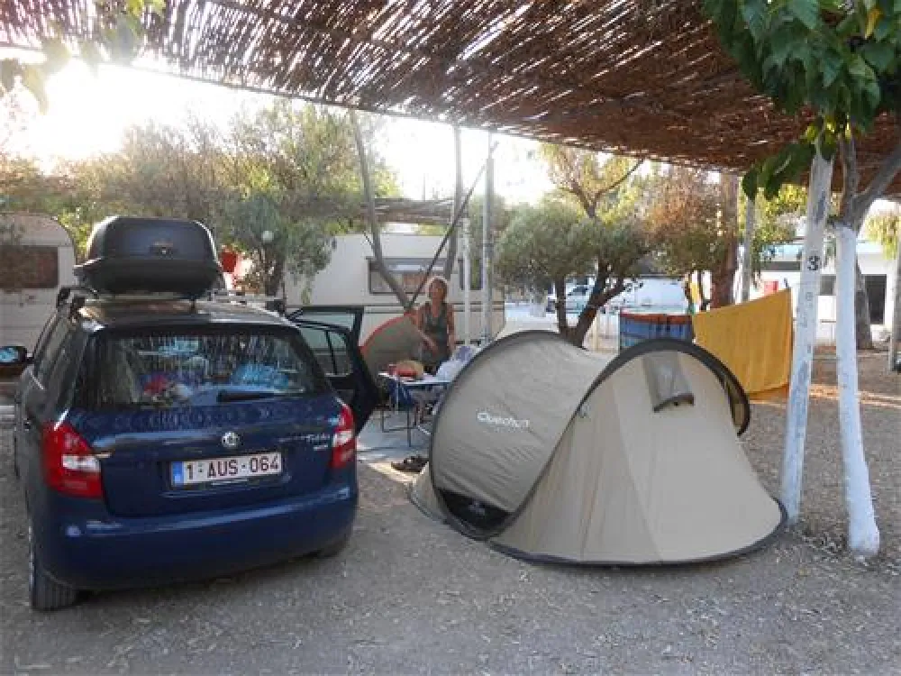 Campsite Blue Dolphin