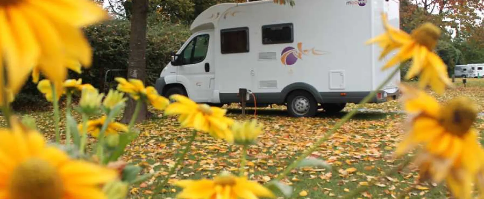 Cardiff Caravan and Camping Park