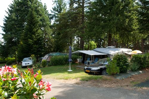 Camping - Les Pins photo 3