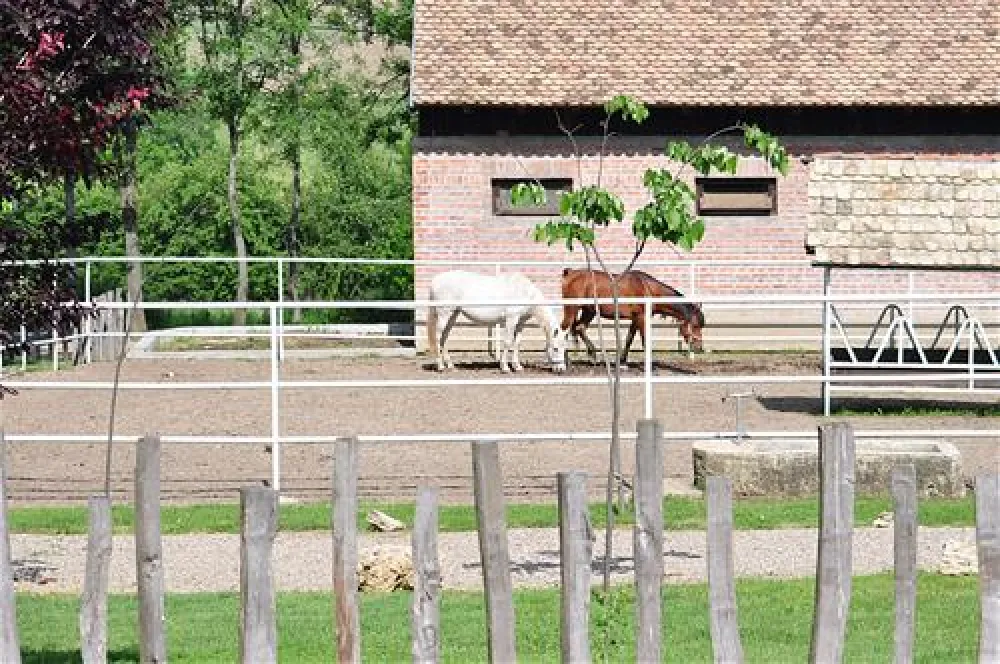 Camping Zornica House