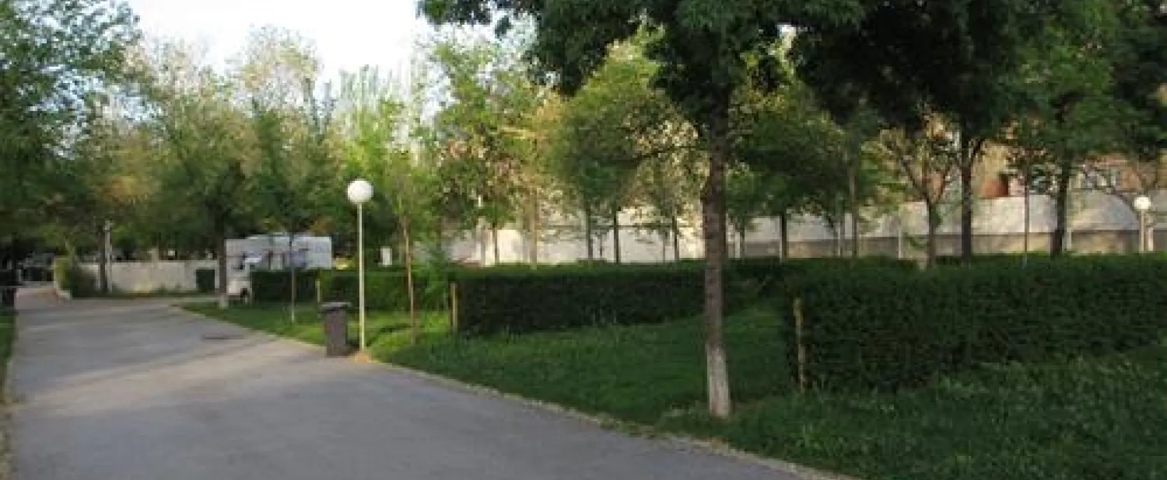 Camping Sierra Nevada