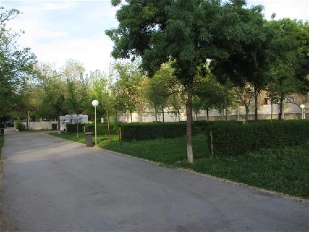 Camping Sierra Nevada