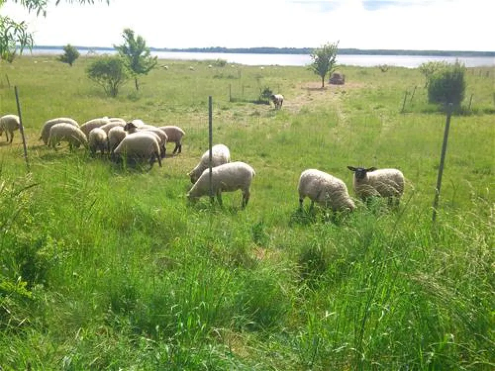 Camping am See Alt Schwerin