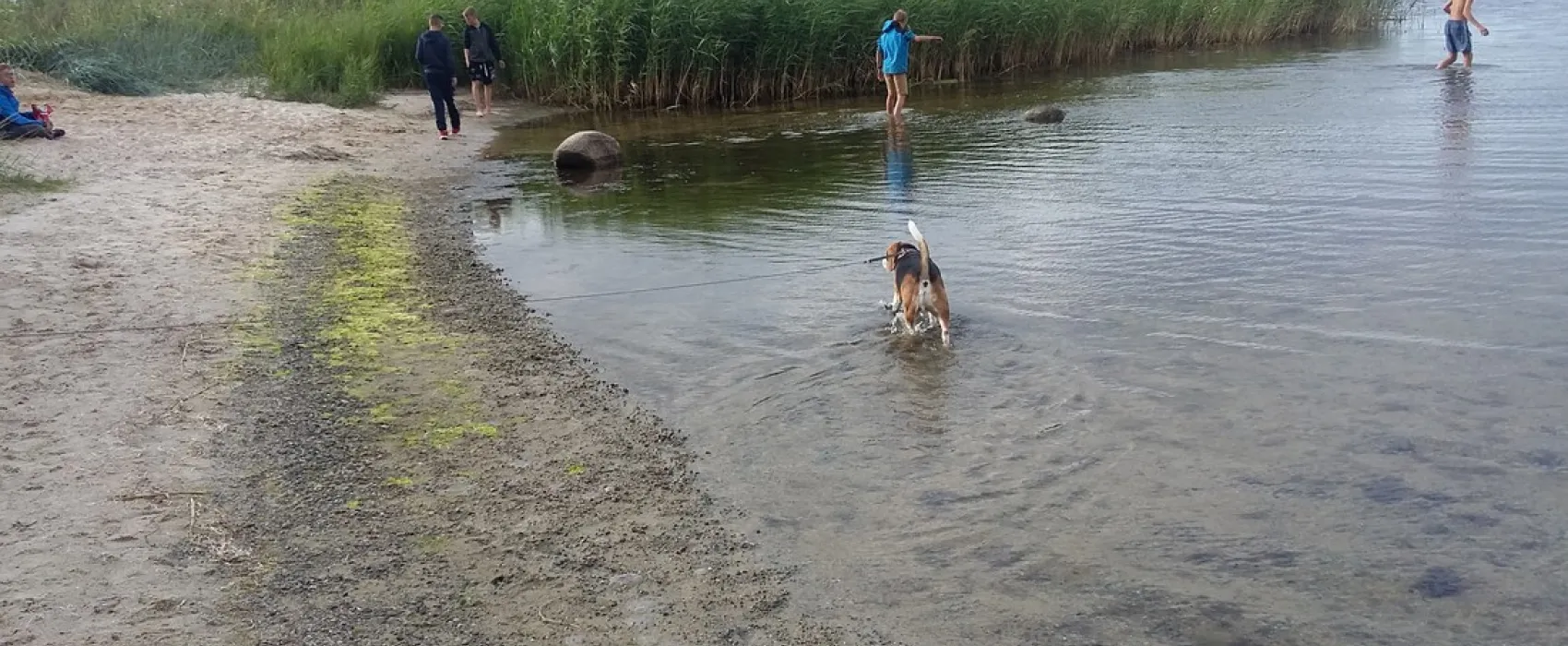Campingplatz Stahlbrode