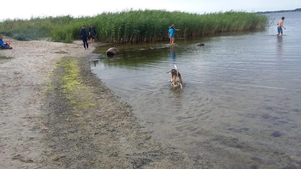 Campingplatz Stahlbrode